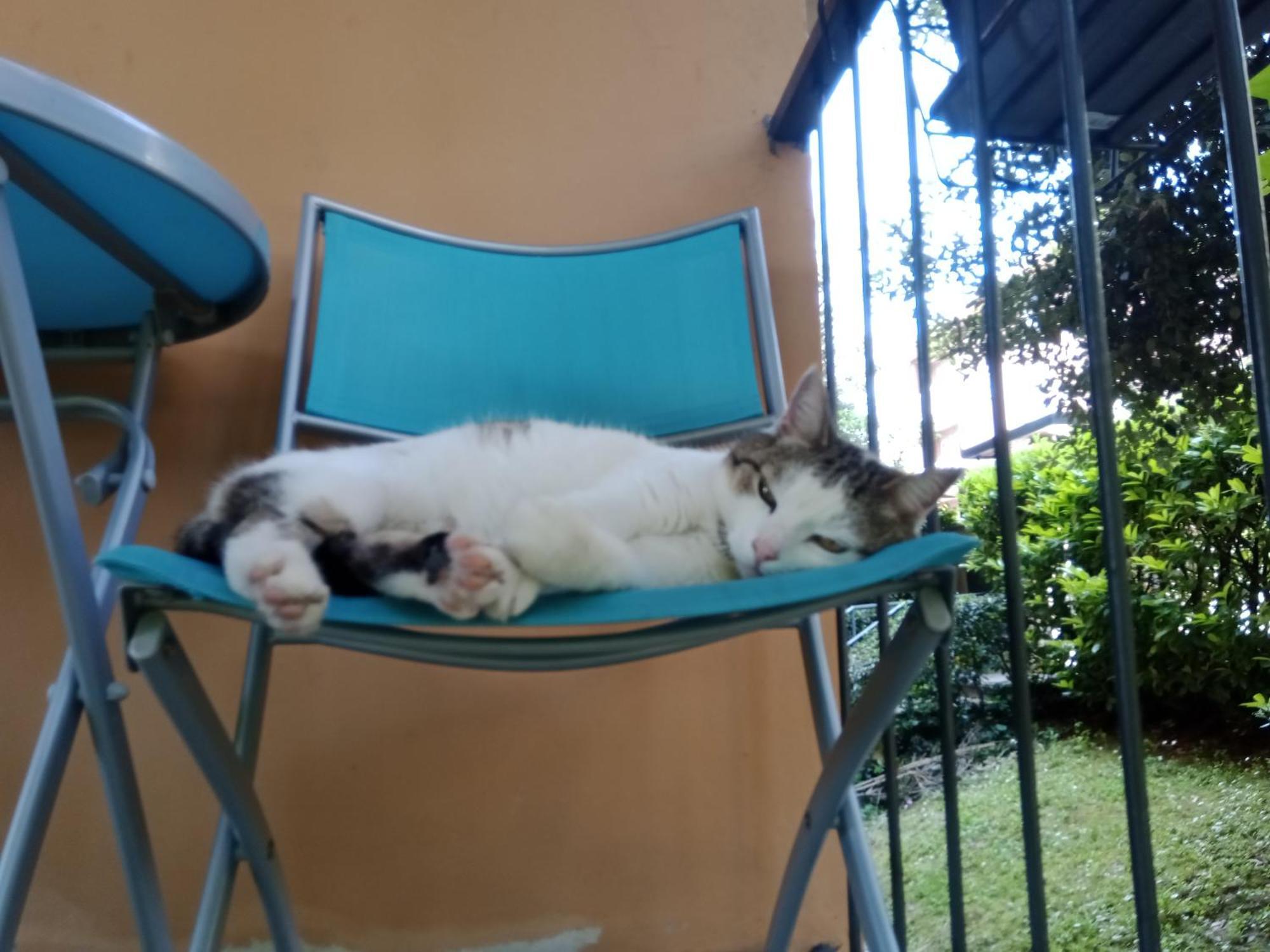 Hotel A Casa Di Gemma Bolonia Zewnętrze zdjęcie